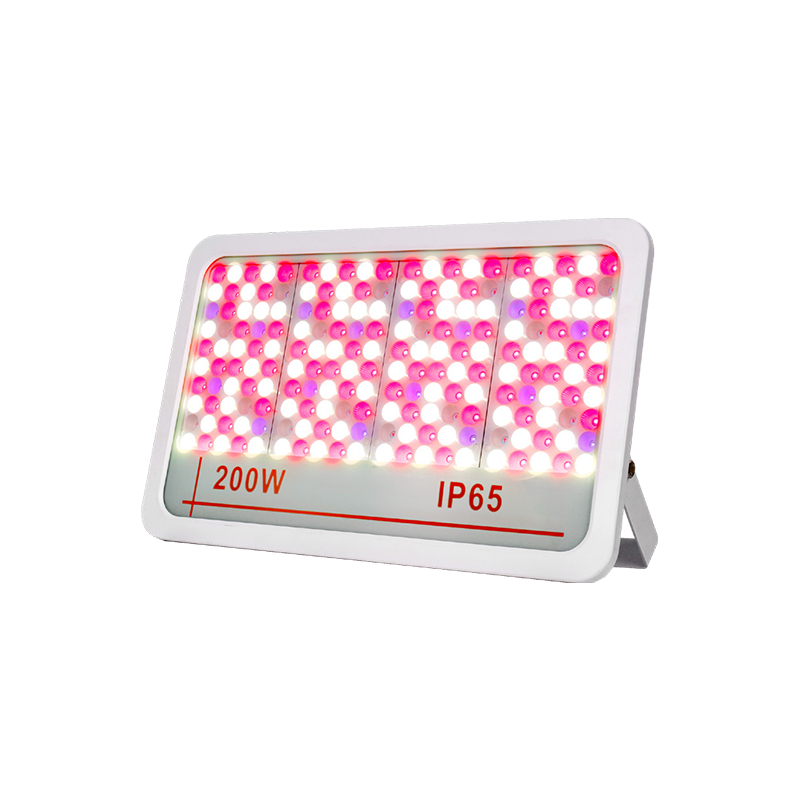 LED ضوء الفيضان