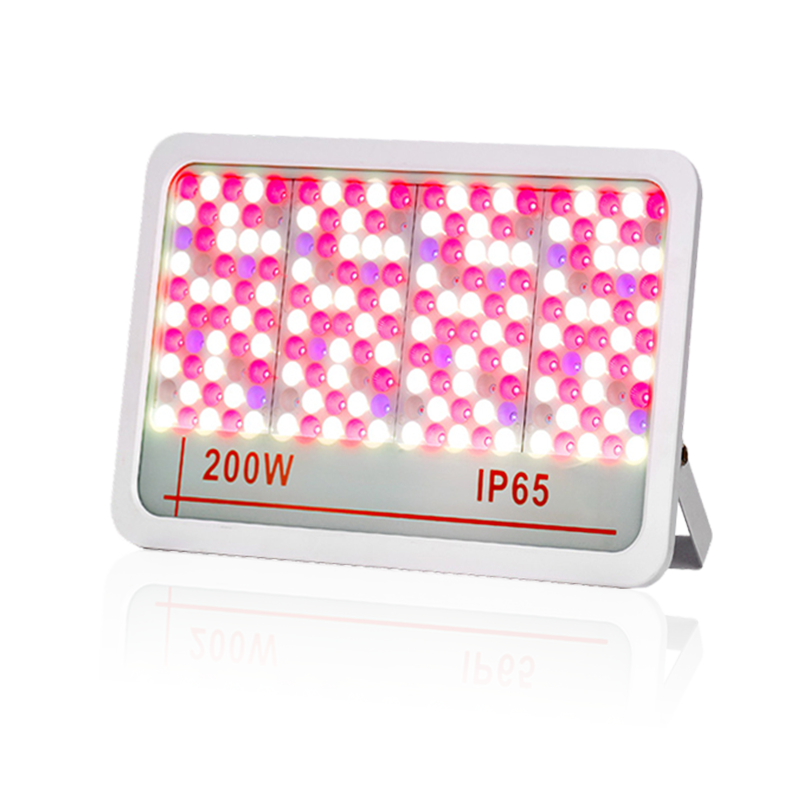 LED ضوء الفيضان