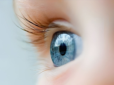 شين غوانغ يوان (أضواء جديدة) شركة الإضاءة التكنولوجية المحدودة