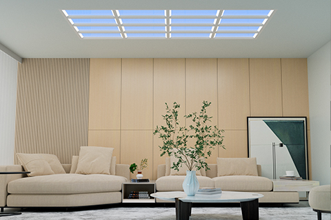 شين غوانغ يوان (أضواء جديدة) شركة الإضاءة التكنولوجية المحدودة